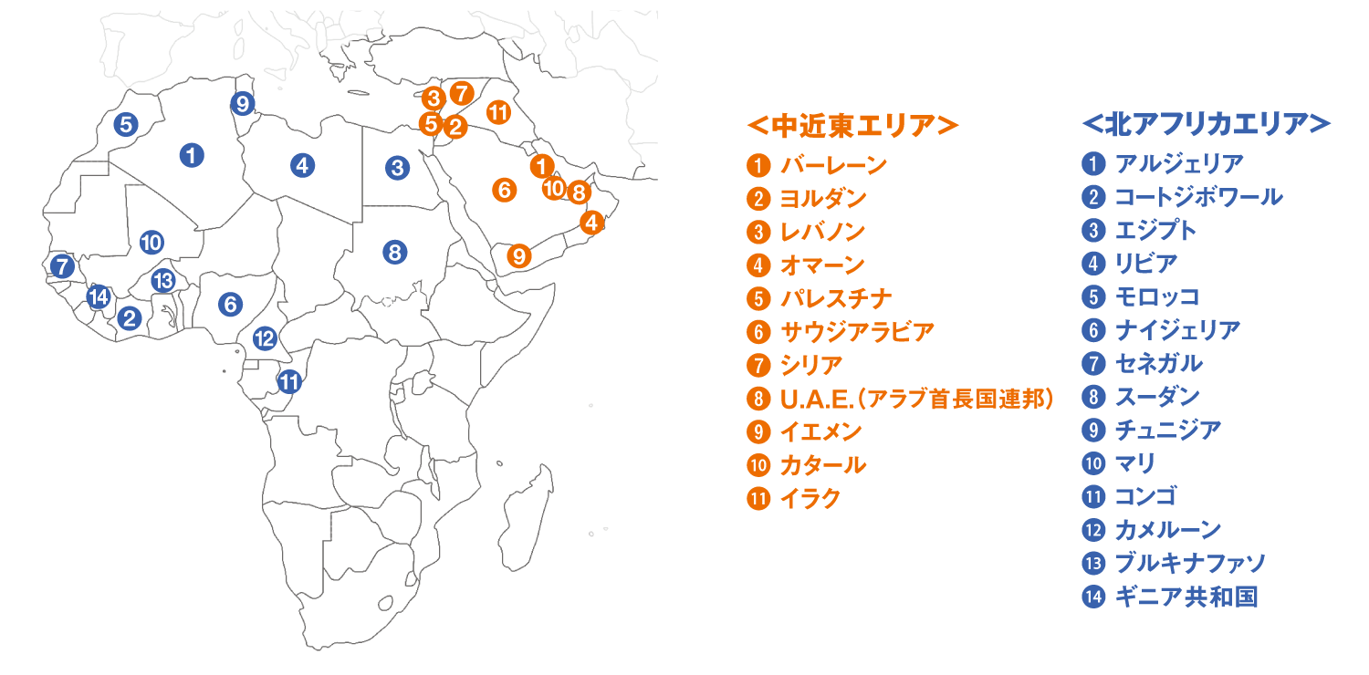 中近東および北アフリカエリアのパートナー