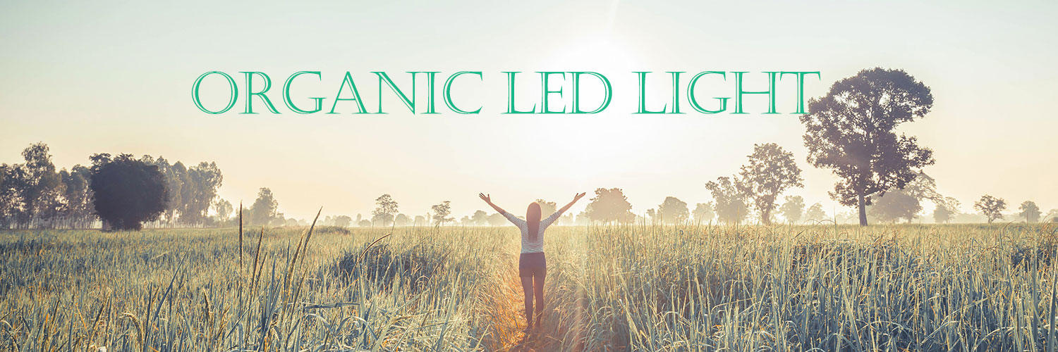 organic led light